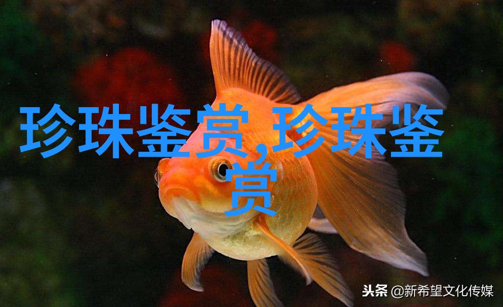 成都犀浦现房双地铁西郡兰庭售楼处电话预约看房楼盘详情户型鉴赏